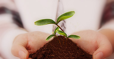 Environmental Protection