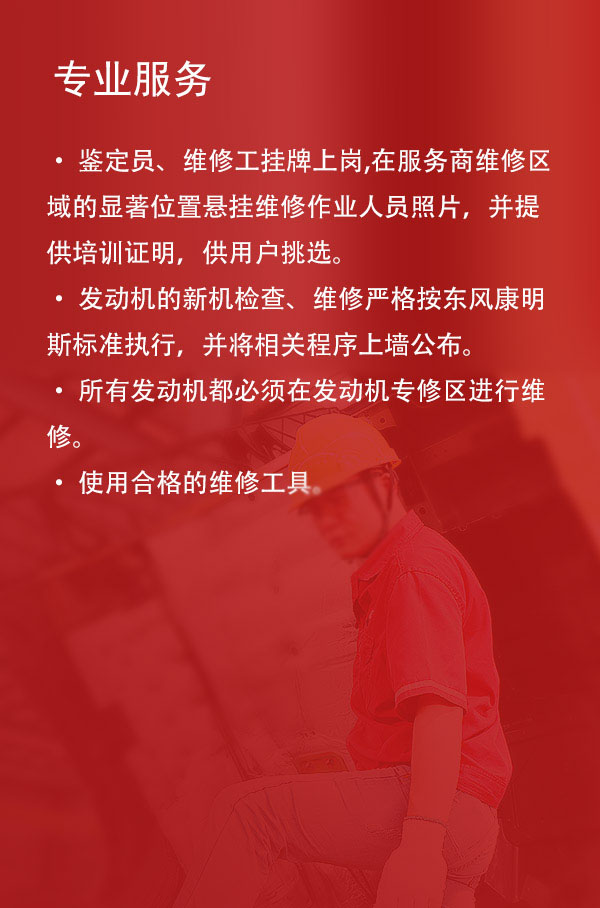 Professional Service